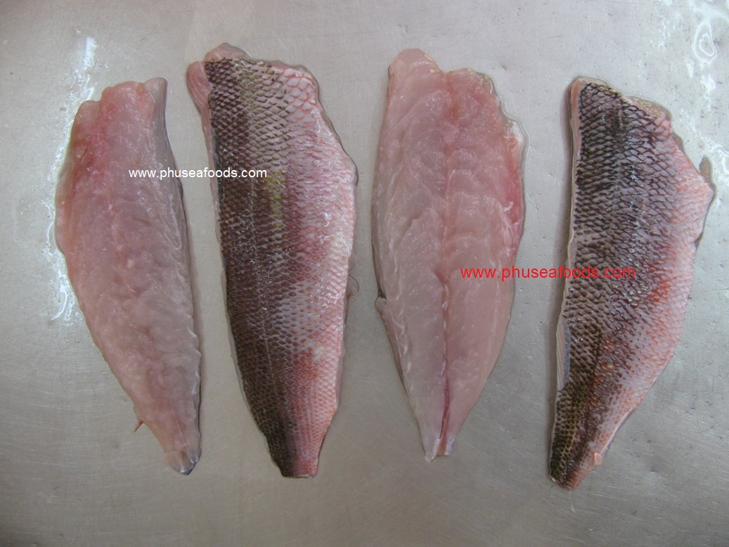 FUSILIER FISH FILLETS before FREEZING