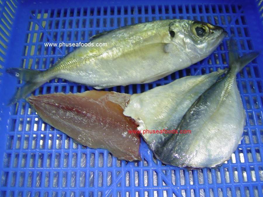 Big Eye Scad / Matangbaka 1Kg